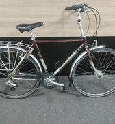 Koga-Miyata Road Runner H54 Silver/Bordeaux 9V