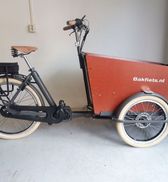 Bakfiets.nl CargoTrike Cruiser Narrow Steps 500Wh, Matt Granite