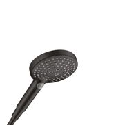 Hansgrohe handdouche D11727504