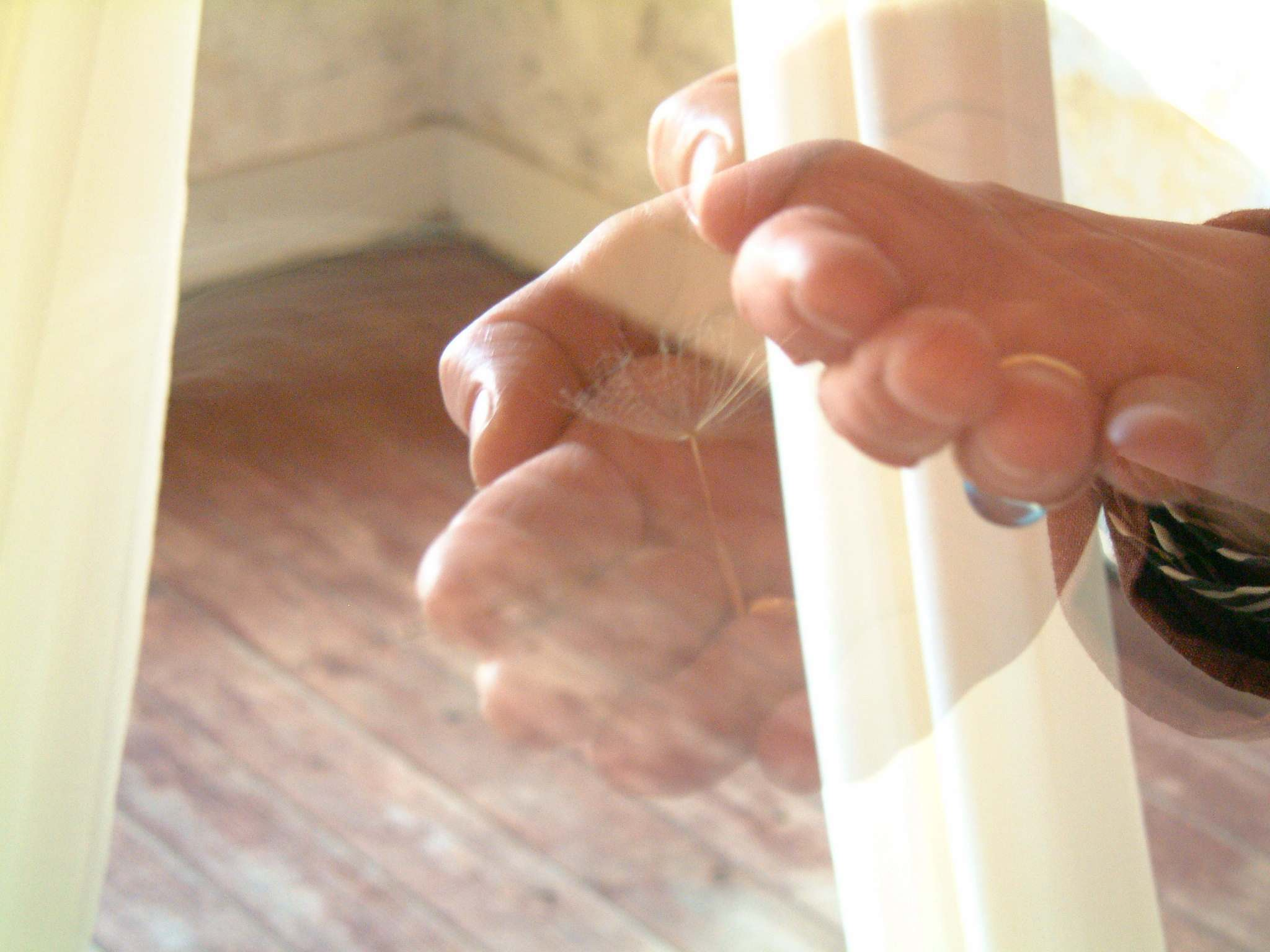 image-1737990989.png