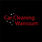 Car cleaning Wanssum.png