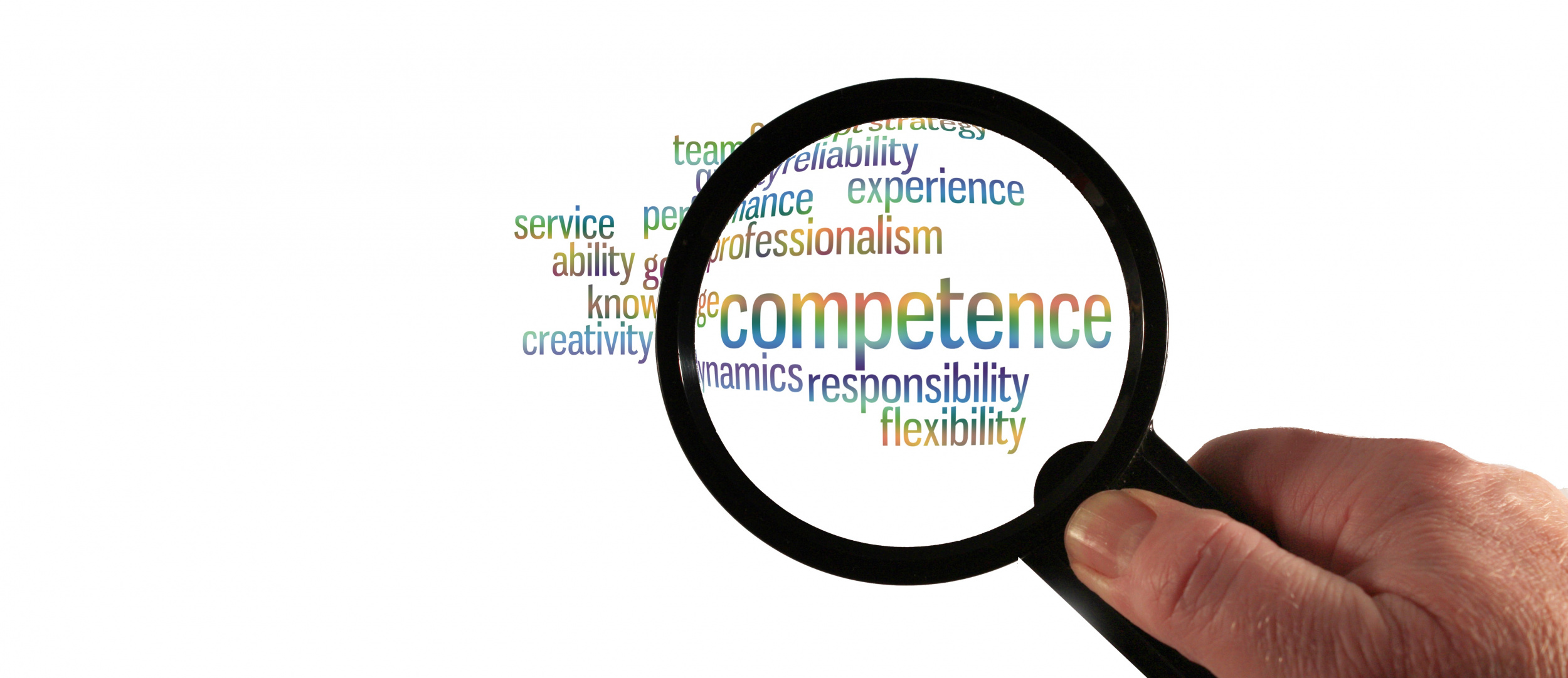 competence-2741773.jpg