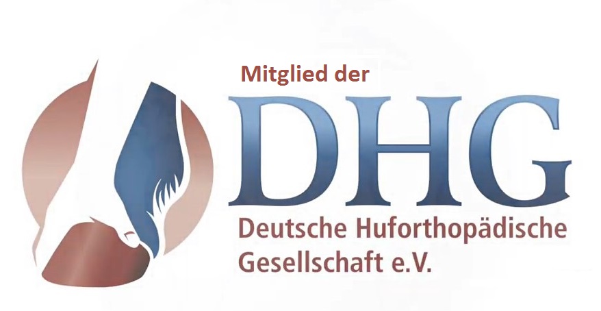 DHG e.V. - Logo Mitglied.jpg