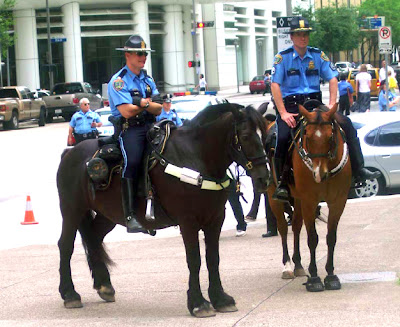 policehouston.jpg