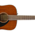 fender cd-60 mahogany.png