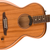 fender highway parlor mah 2.png