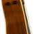 fender newporter player tpl 4.png