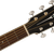 fender paramount pd220e mah 3.png