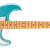 fender player II stratocaster HSS AQB.png