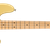 fender player precision bass bcr 4.png