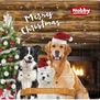 Nobby Starsnack Adventskalender Hond
