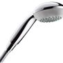 Hansgrohe handdouche D11071376