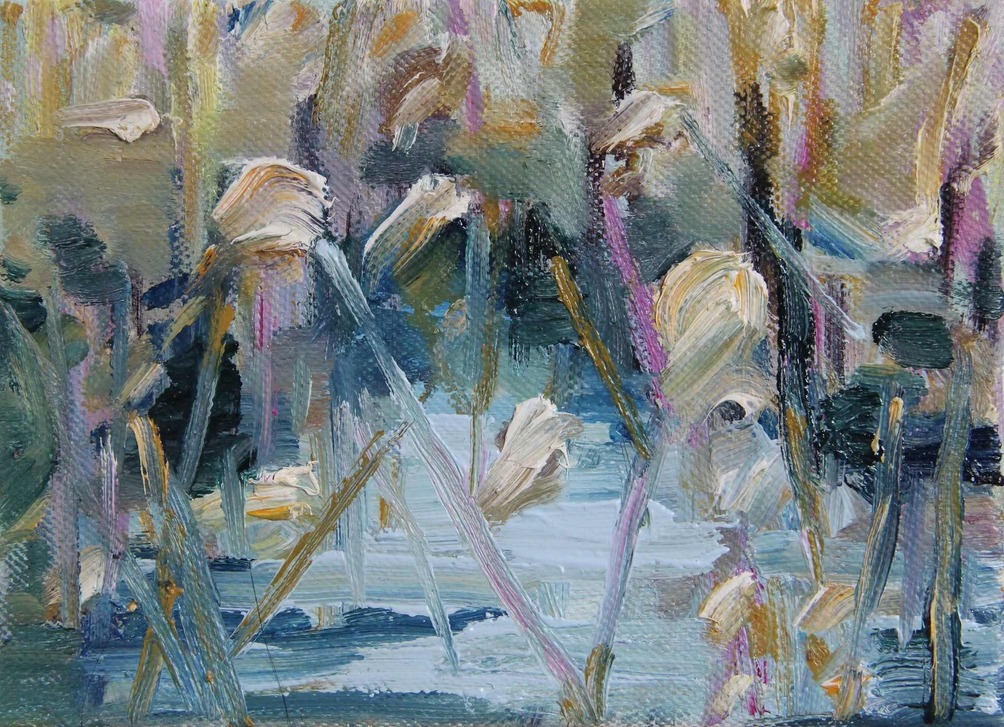 Reed 13x18cm Gerrie Severens.jpg