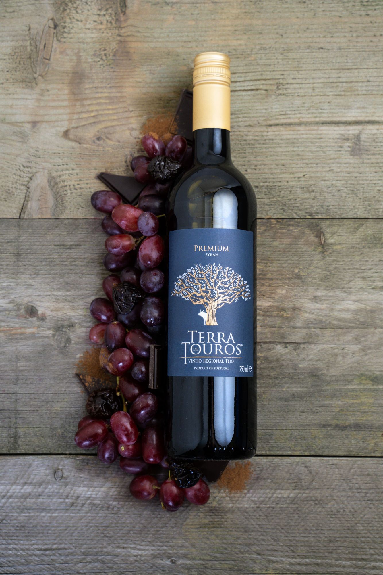 Terra de Touros Premium Syrah-min.jpg