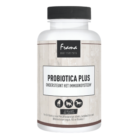 Frama - Probiotica plus verkrijgbaar in 60capsules of kuurverpakking 20 capsules