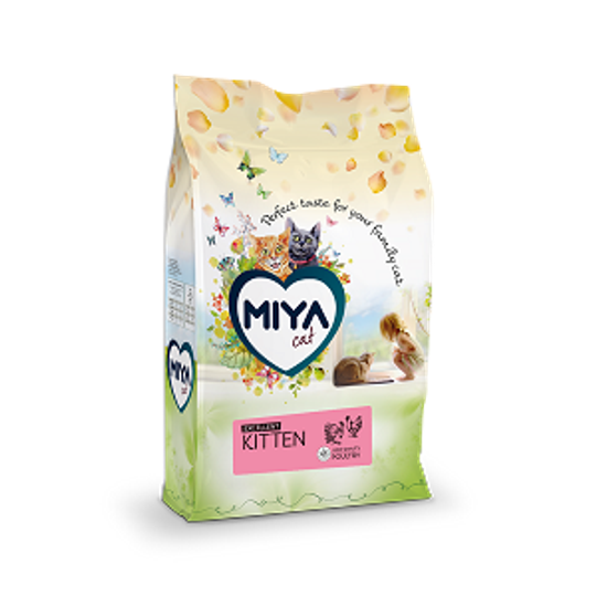 Miya kat - kitten - verkrijgbaar in 2.5kg