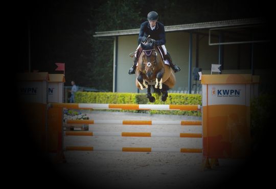 Goldfever GLN jumping well in Ermelo