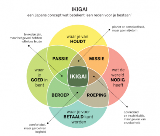 Workshop Ikigai