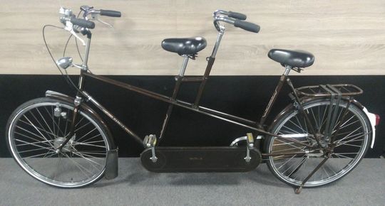 Gazelle Tandem Bruin 3V