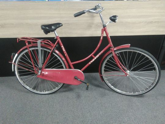 Pointer Glorie D57 Rood RN