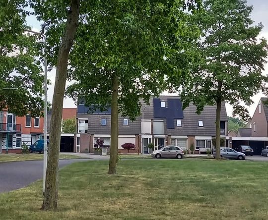 Grote bomenkap in de Heiakker