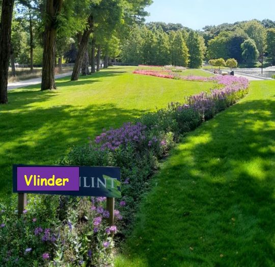 Nieuw in Heiakkerpark: het Vlinderlint