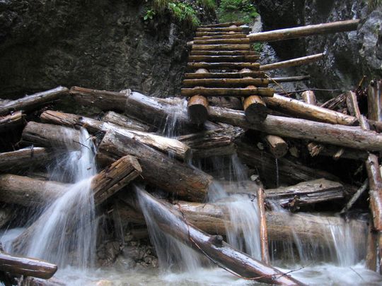 Organisatieopstelling hout water ladder.jpg