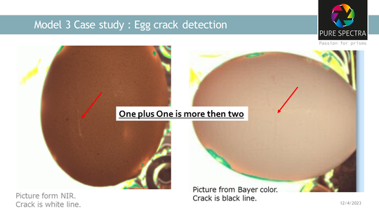Model 3 - EGG inspection