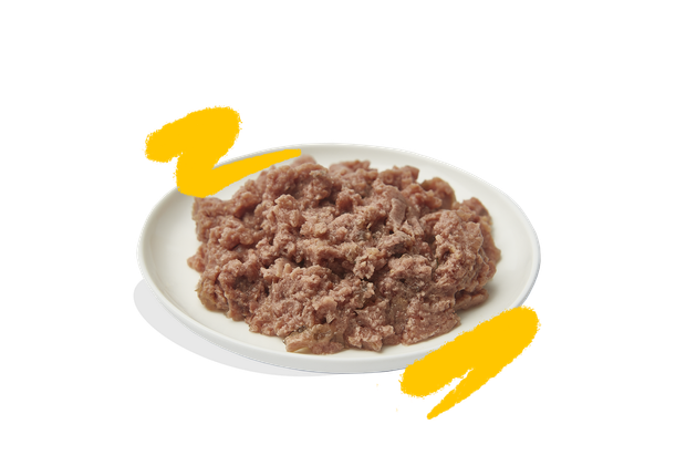 pate__-yellow (1).png