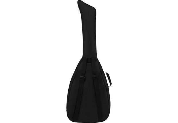 fender acc bass gigbag 2.png