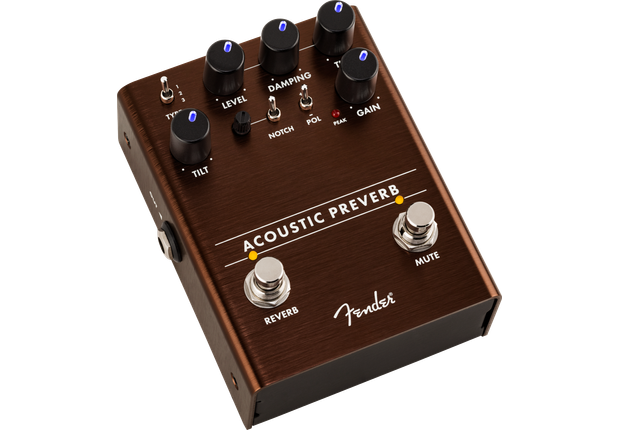 fender acoustic preverb 2.png