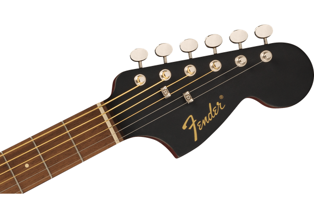 fender monterey standart blk 3.png