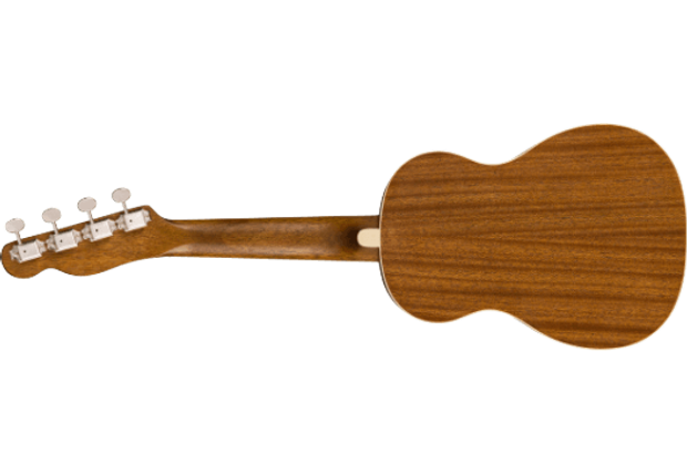 fender zuma concert ukelele 1.png