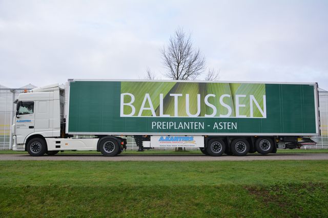 Baltussen 2.jpg